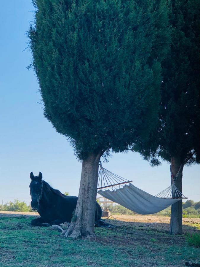 Ferienhaus Elena's Country &